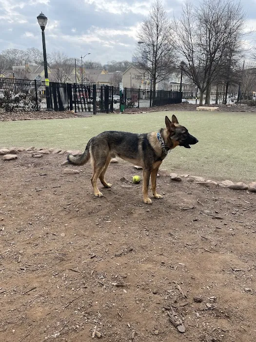 Atlantic Station Dog Park 3
