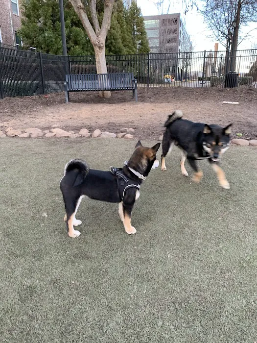 Atlantic Station Dog Park 6