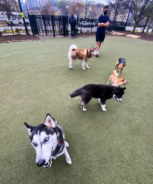 Atlantic Station Dog Park 2