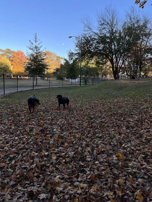 Mozley Park Dog Park 1