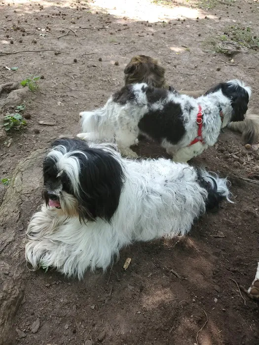 Kirkwood Dog Park 7