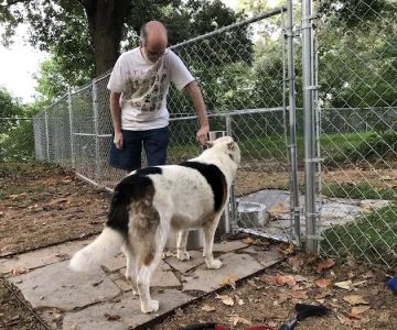 Kirkwood Dog Park