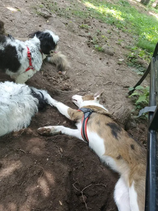 Kirkwood Dog Park 10