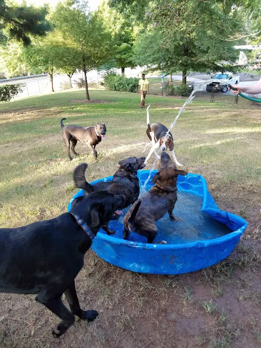 South Bend Dog Park 2