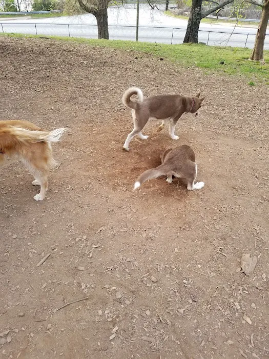 South Bend Dog Park 5
