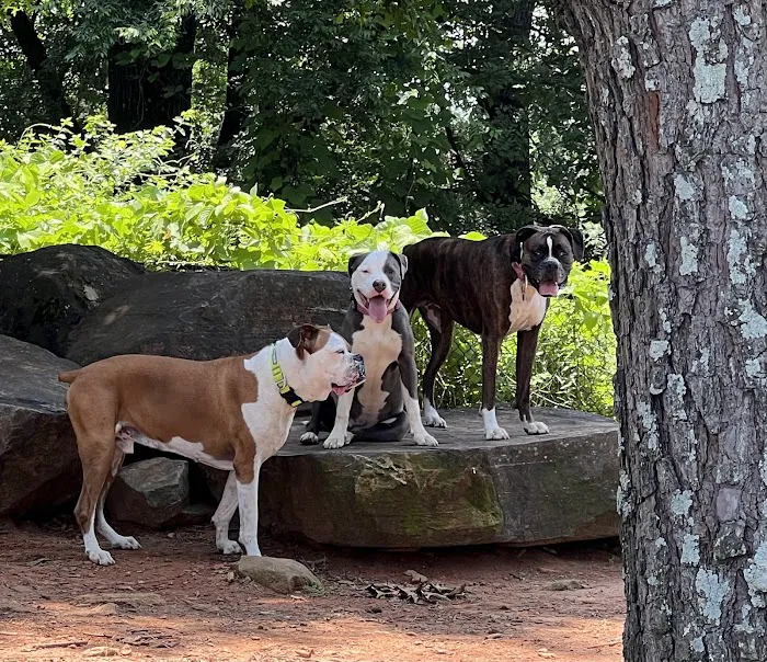 South Bend Dog Park 9