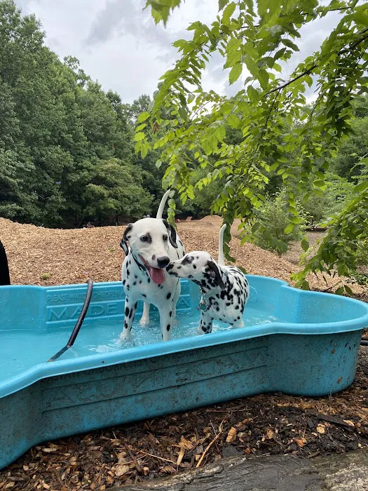 Oakhurst Dog Park 9