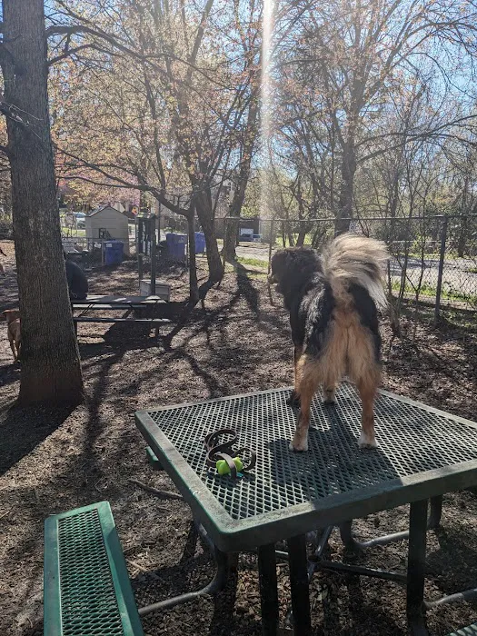 Oakhurst Dog Park 5