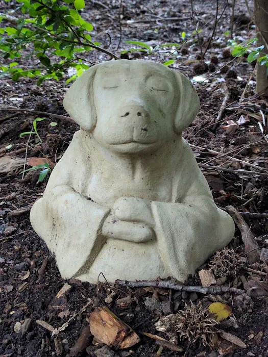 Oakhurst Dog Park 3