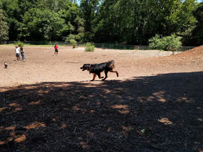 Oakhurst Dog Park 1