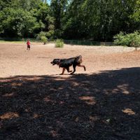 Oakhurst Dog Park ico