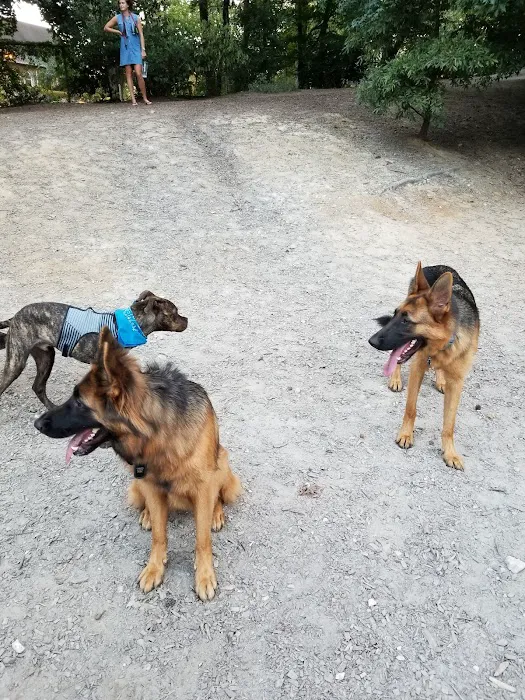 Oakhurst Dog Park 8