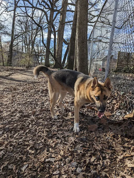 Oakhurst Dog Park 10