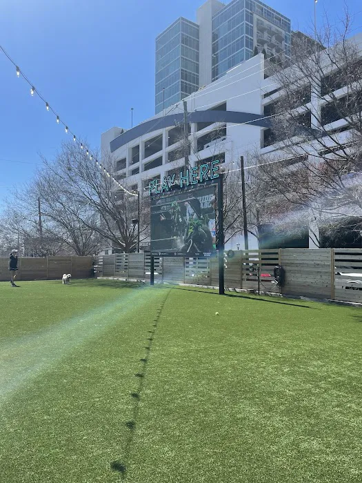 Fetch Park Buckhead 7