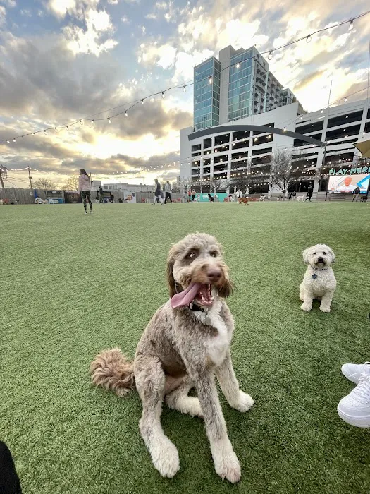 Fetch Park Buckhead 8