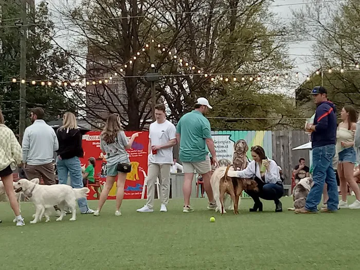 Fetch Park Buckhead 5