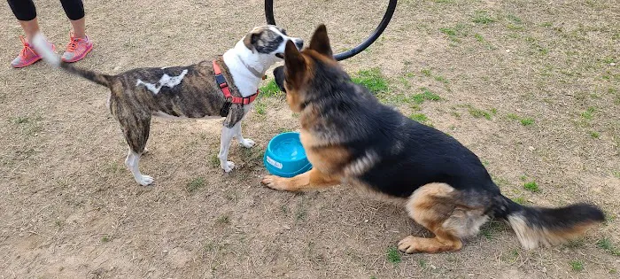 East Point Dog Park 10