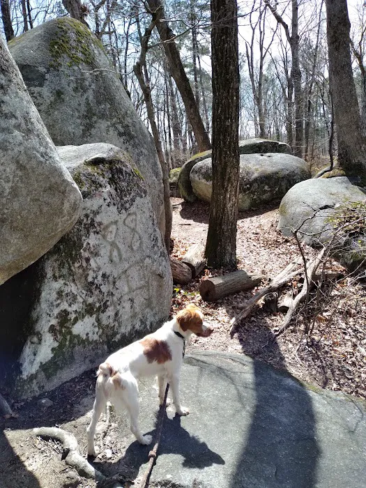 East Point Dog Park 8