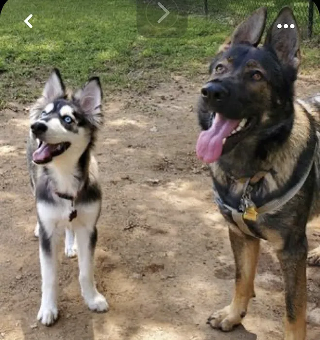 East Point Dog Park 4