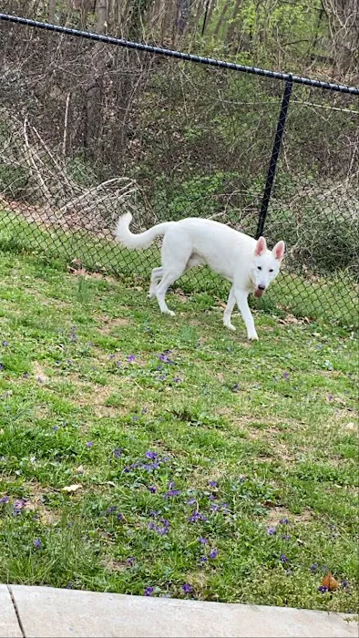 East Point Dog Park 3