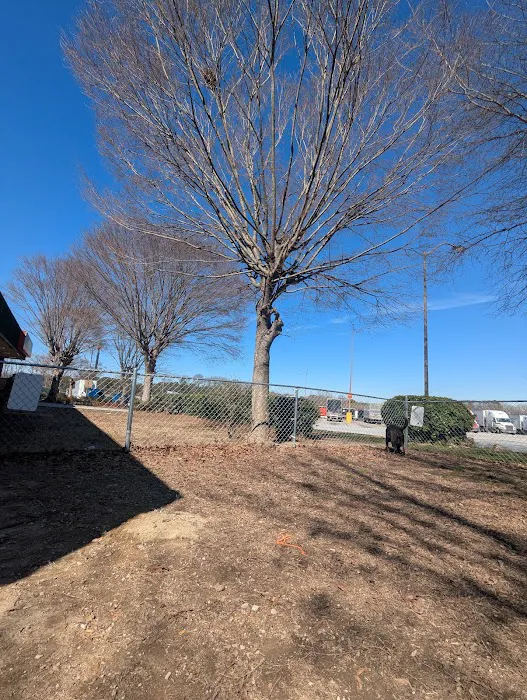 Dog Park 3