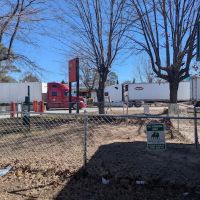 Dog Park ico