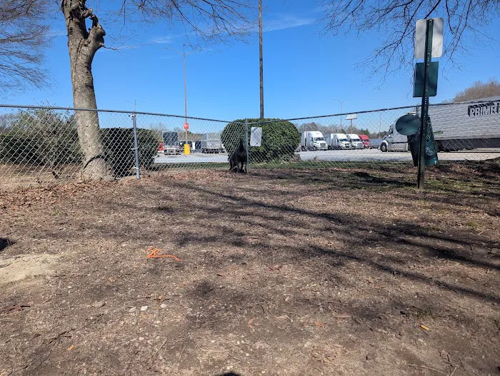 Dog Park 2