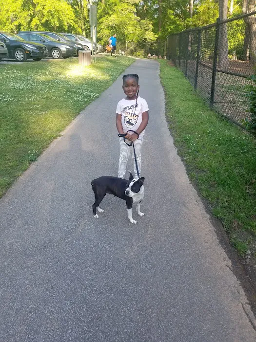 Glenlake Dog Park 4