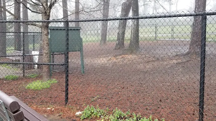 Glenlake Dog Park 6