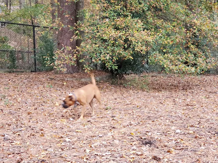 Glenlake Dog Park 5