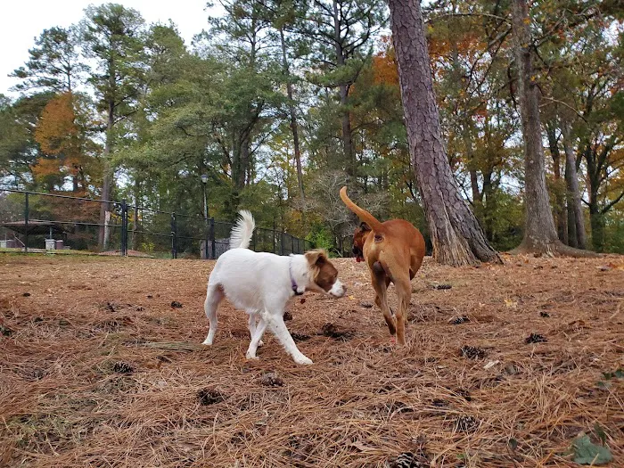 Glenlake Dog Park 1