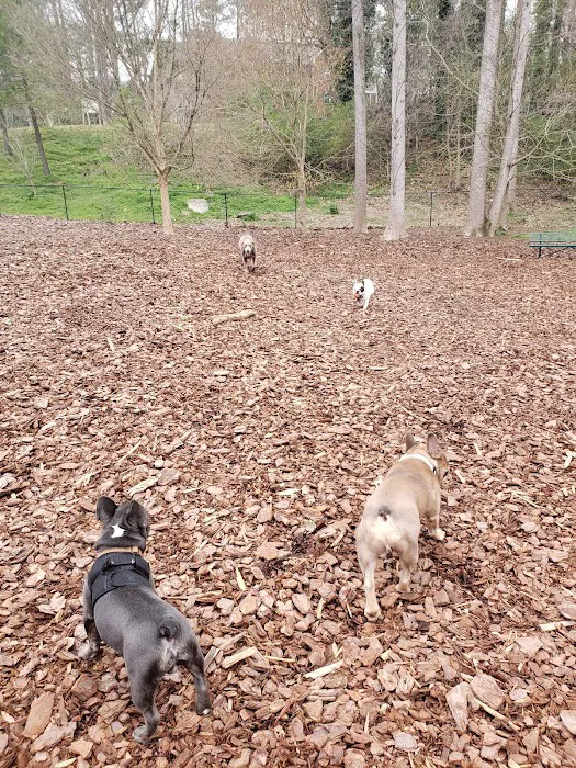 Mason Mill Dog Park 7
