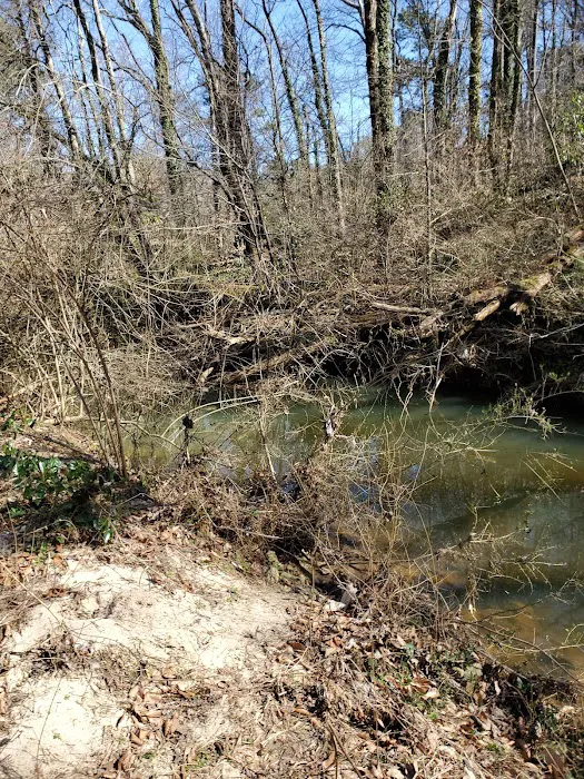 Mason Mill Dog Park 2