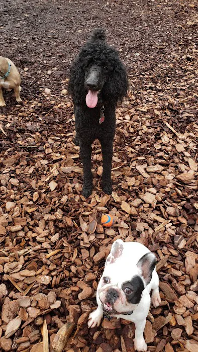 Mason Mill Dog Park 5