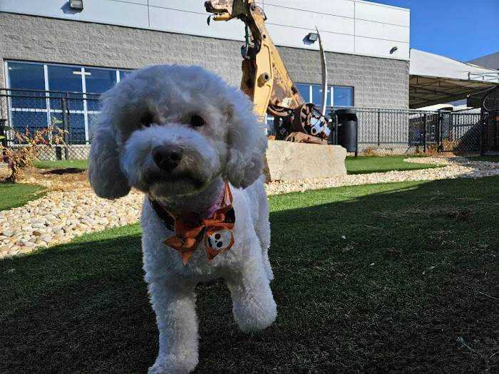 Hartsfield-Jackson Dog Park 7