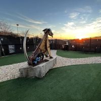 Hartsfield-Jackson Dog Park ico