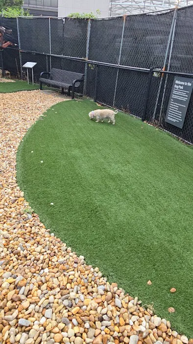 Hartsfield-Jackson Dog Park 10