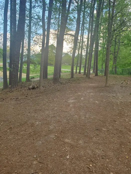 Brookhaven Dog Park 5