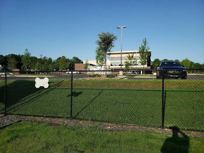Arrow Creek Park Dog Park 6