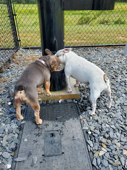 Arrow Creek Park Dog Park 7