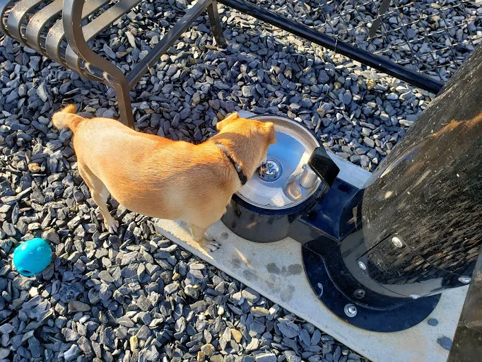 Arrow Creek Park Dog Park 4