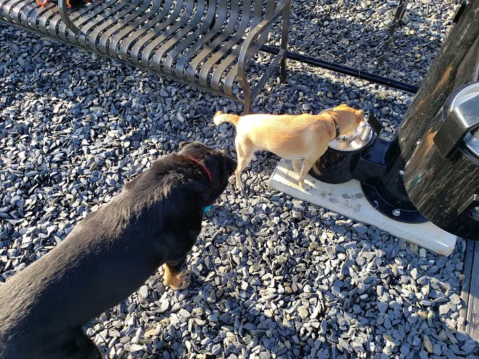 Arrow Creek Park Dog Park 9