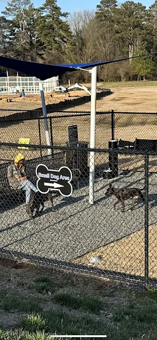 Arrow Creek Park Dog Park 10