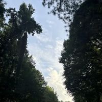 Vinings Mountain Apartments Dog Park ico
