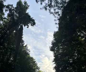 Vinings Mountain Apartments Dog Park