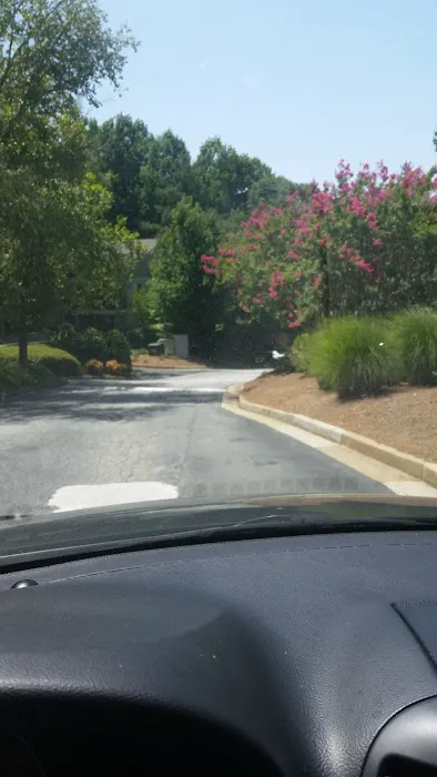 Vinings Mountain Apartments Dog Park 4