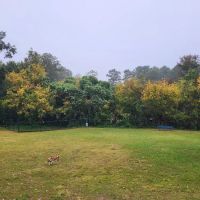 Smyrna Dog Park ico
