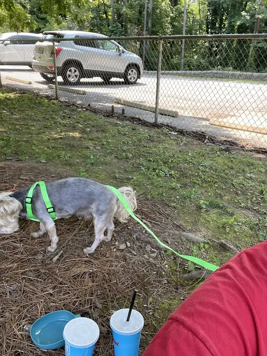 Smyrna Dog Park 8