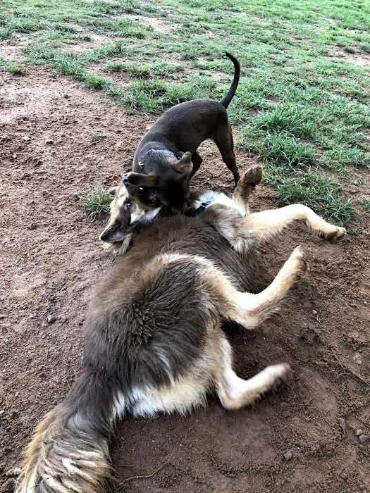 Smyrna Dog Park 10