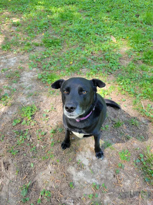 Brockett Bark Park (PRIVATE) 3